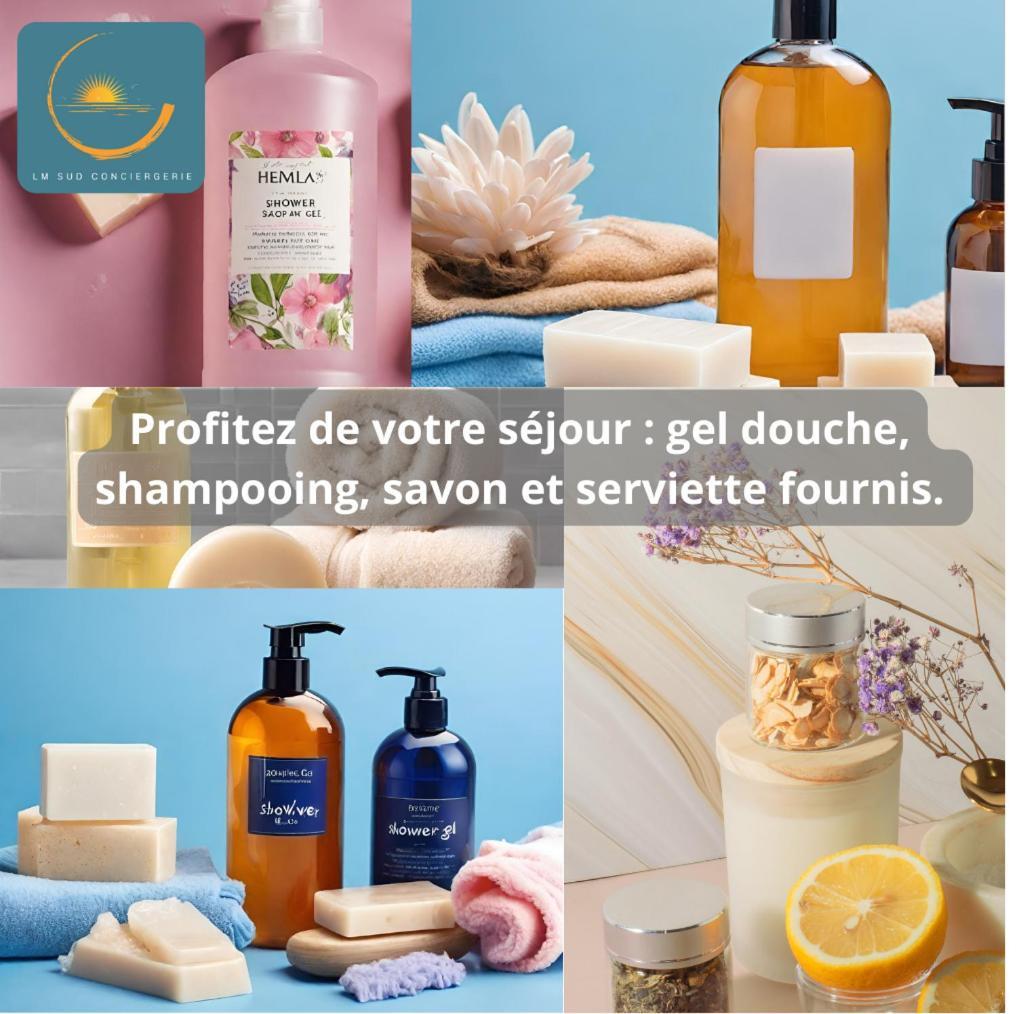 * F3 Haussmannien, Centre-Ville, 4 Pers, Wifi * Μονπελιέ Εξωτερικό φωτογραφία