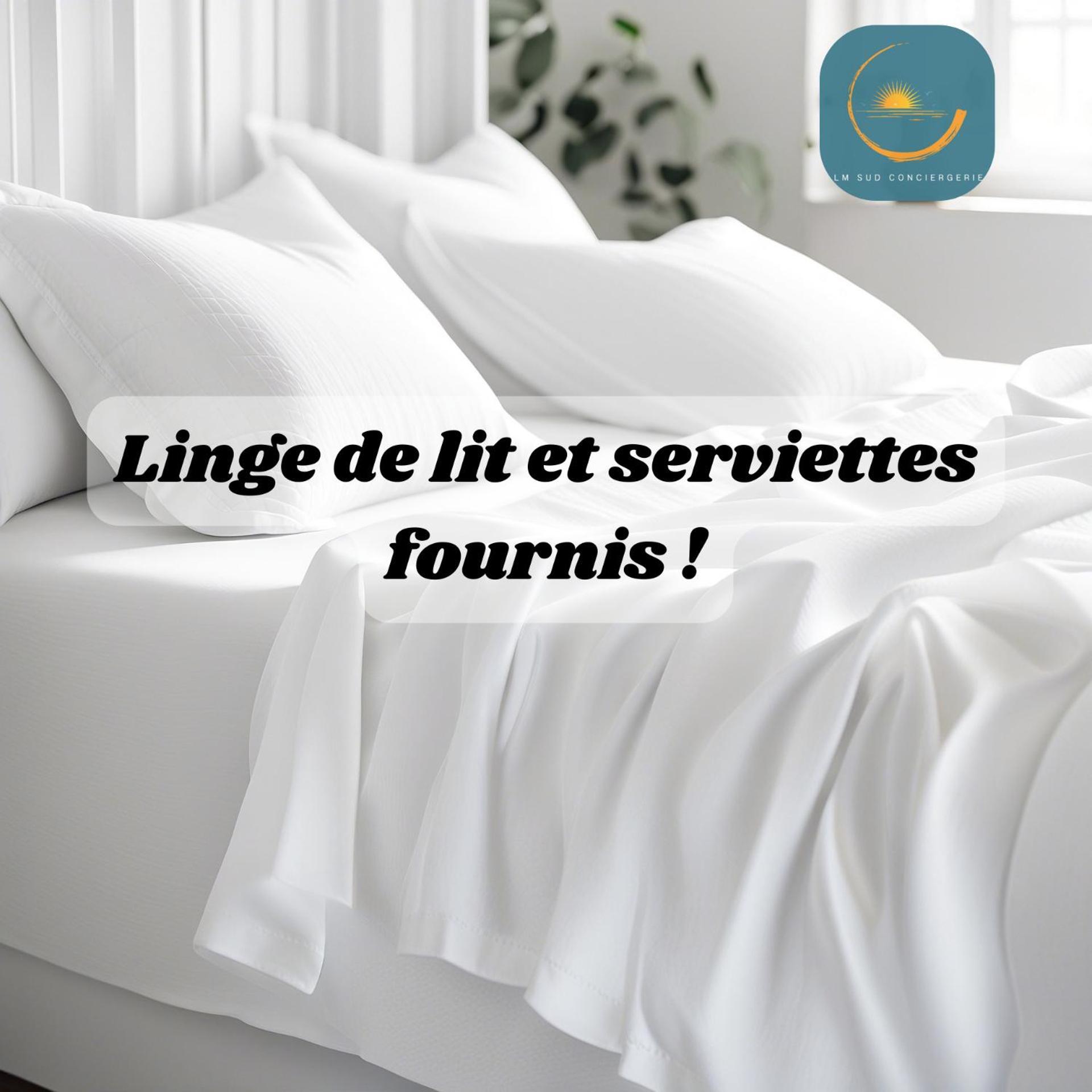 * F3 Haussmannien, Centre-Ville, 4 Pers, Wifi * Μονπελιέ Εξωτερικό φωτογραφία
