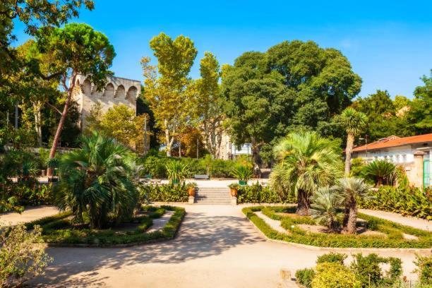 * F3 Haussmannien, Centre-Ville, 4 Pers, Wifi * Μονπελιέ Εξωτερικό φωτογραφία